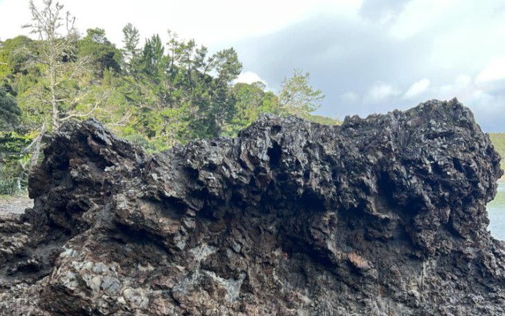 Ảo ảnh thị giác: 99% người không thấy con voi - Ảnh 3.