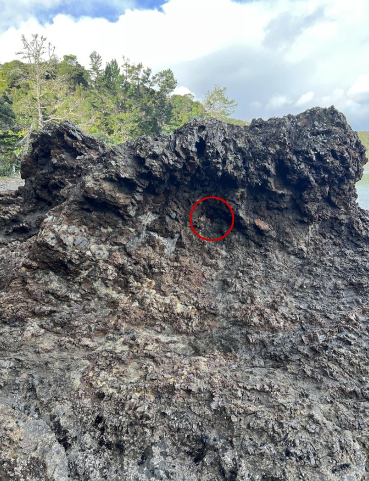 Thử tài tinh mắt: Cô gái đang trốn ở đâu? - Ảnh 2.