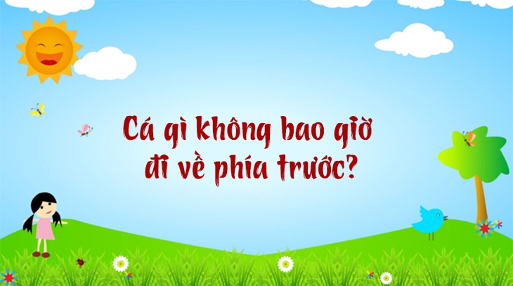 câu đố - Ảnh 3.
