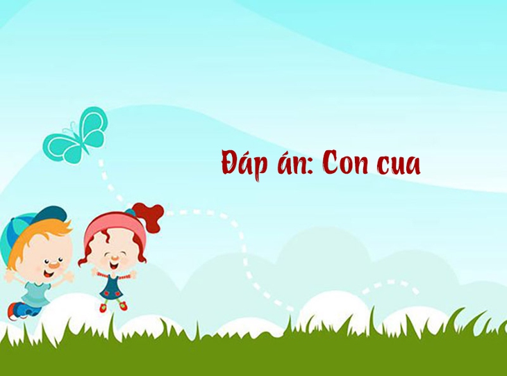 câu đố - Ảnh 1.