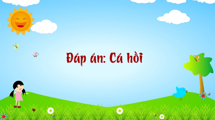 câu đố - Ảnh 1.