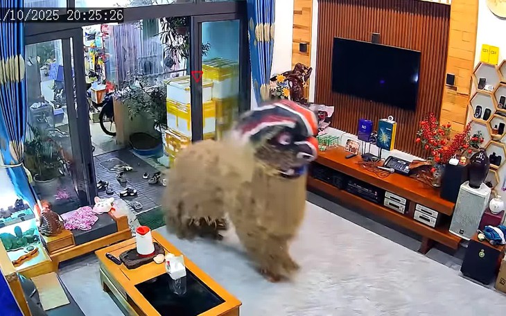 Ca dao nhắc nhở chúng ta phải biết quý trọng thời gian này là gì? - Ảnh 8.