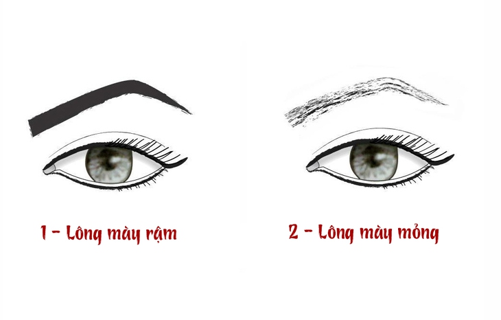 lông mày - Ảnh 1.