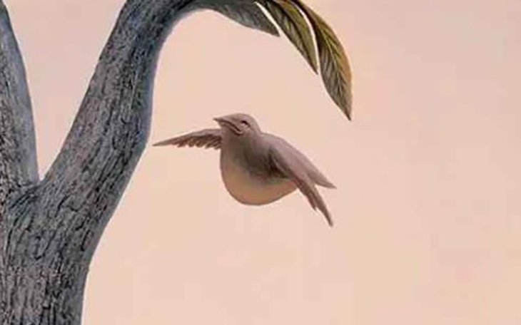 Quiz: Một lựa chọn nhỏ tiết lộ tính cách của bạn - Ảnh 3.