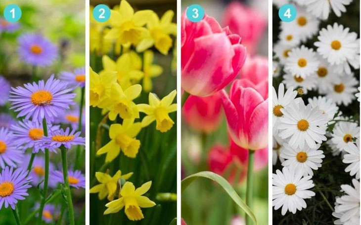 Quiz: Bạn là người tư duy tổng thể hay là người tinh tế, giàu cảm xúc? - Ảnh 2.