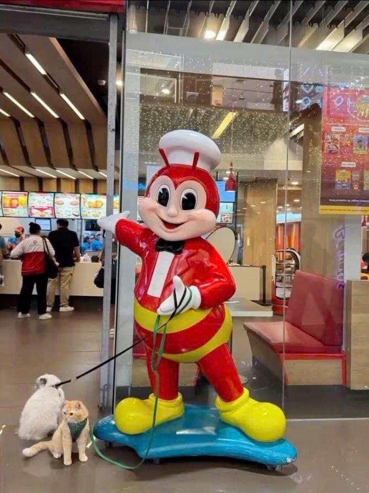 Tam quốc diễn nghĩa - Ảnh 5.