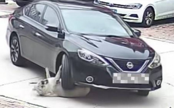 Ảnh vui 8-10: Chơi Trung thu nhưng chỉ đủ tiền mua nửa bộ lân - Ảnh 7.