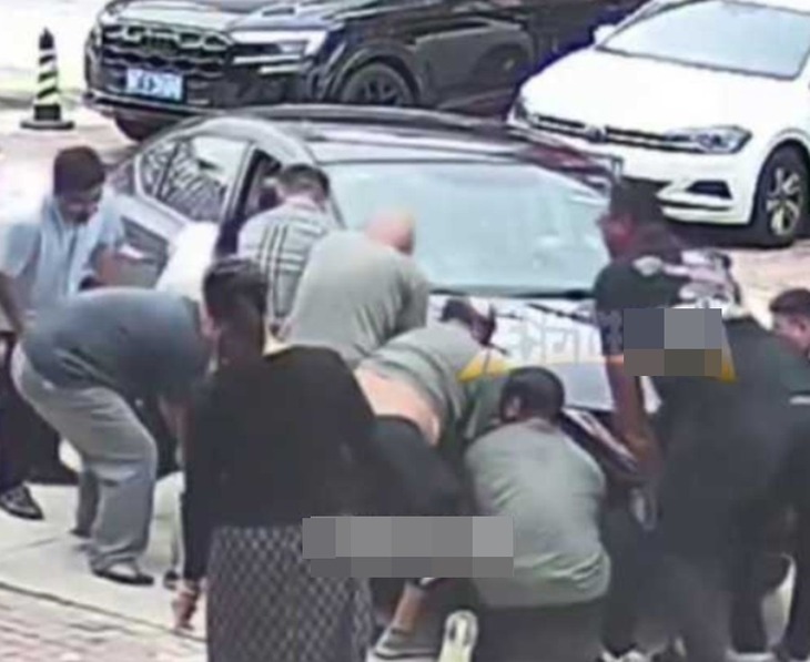 chú chó - Ảnh 2.