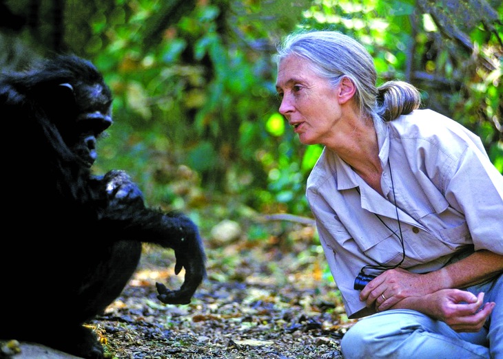 Vĩnh biệt Jane Goodall: chiến binh bảo vệ môi trường vĩ đại nhất - Ảnh 1.