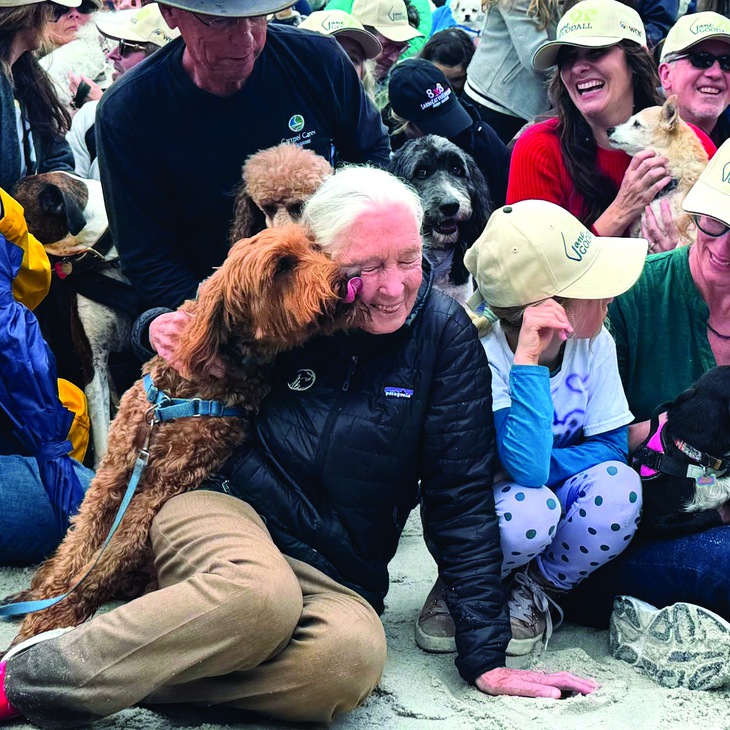 Vĩnh biệt Jane Goodall: chiến binh bảo vệ môi trường vĩ đại nhất - Ảnh 10.