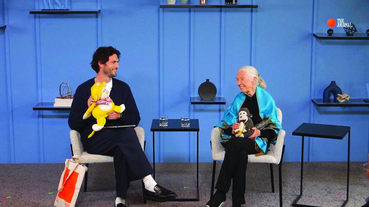 Vĩnh biệt Jane Goodall: chiến binh bảo vệ môi trường vĩ đại nhất - Ảnh 2.