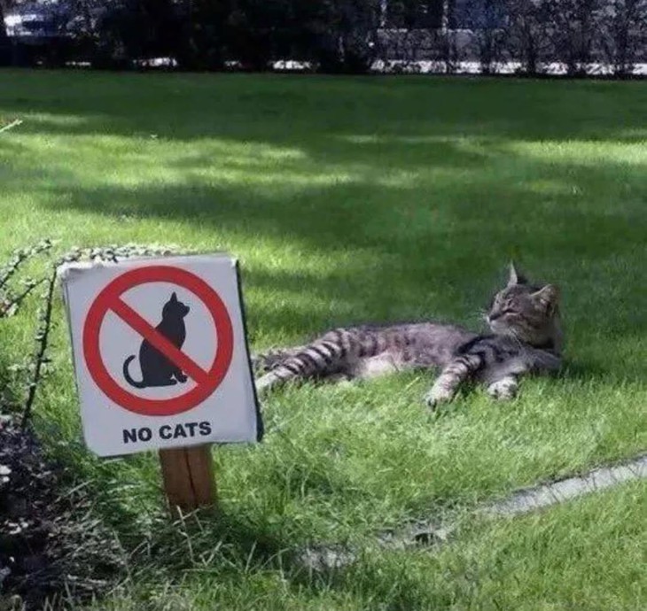 Trung thu - Ảnh 4.