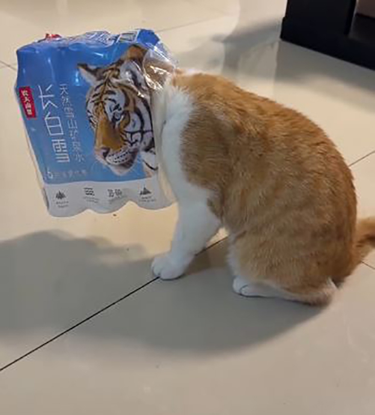 Trung thu - Ảnh 3.