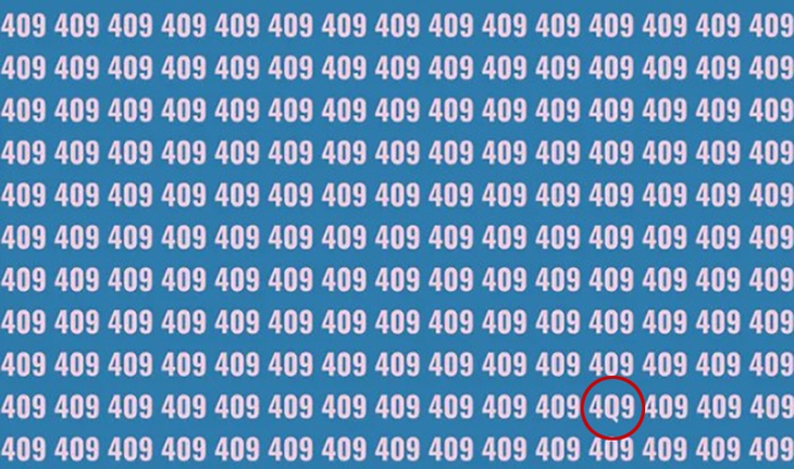 con ếch - Ảnh 4.