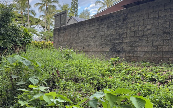 Con gì càng già càng nhỏ lại? - Ảnh 8.