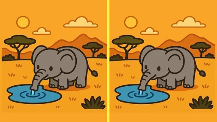 khuôn mặt - Ảnh 5.