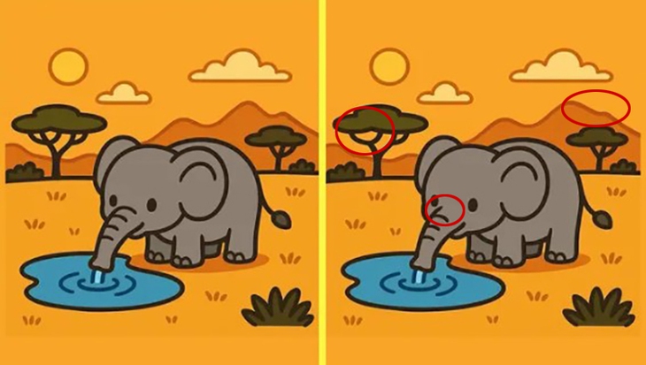 khuôn mặt - Ảnh 6.