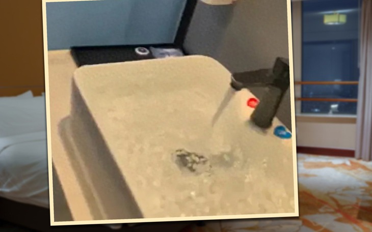 Ảnh vui 12-11: Hai chú mèo dắt nhau 'ra mắt' Thổ Địa - Ảnh 9.