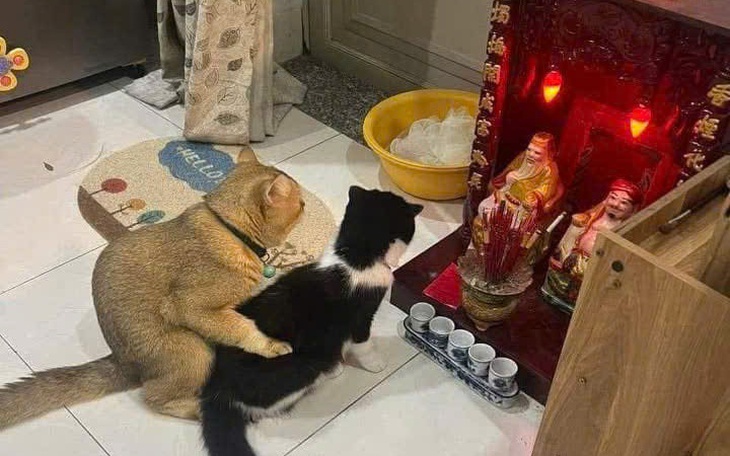 Chi 15 tỉ đồng để tiêm 10.000 liều axit tạo cơ bụng 8 múi - Ảnh 4.