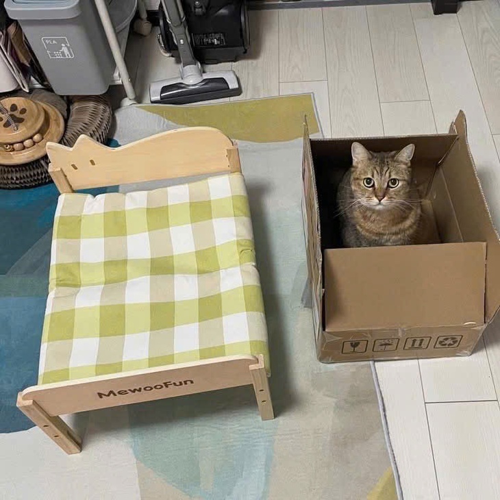 Thổ Địa - Ảnh 2.