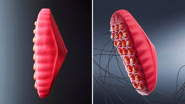 tuyển Anh - Ảnh 1.