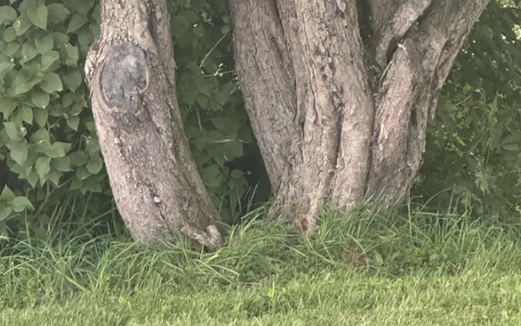 Thành ngữ ám chỉ mối quan hệ công bằng, có qua có lại này là gì? - Ảnh 3.