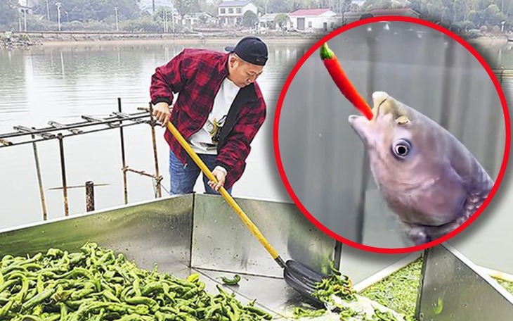 Nhà hàng Thái thành 'hiện tượng' khi khách vừa ăn vừa ngâm chân - Ảnh 3.