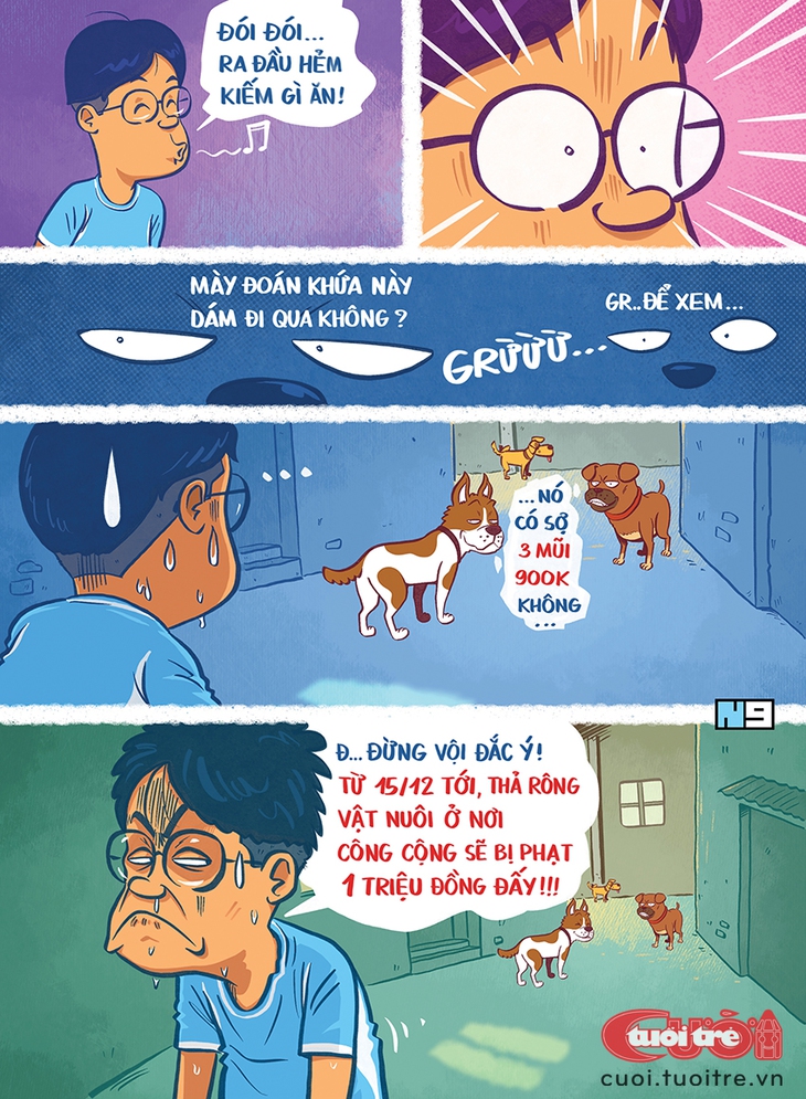 Chó thả rông và nỗi sợ '3 mũi 900 ngàn' - Ảnh 1.