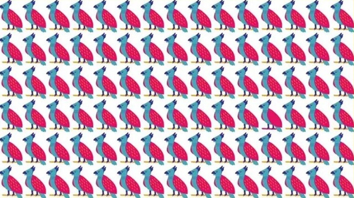 khuôn mặt - Ảnh 3.