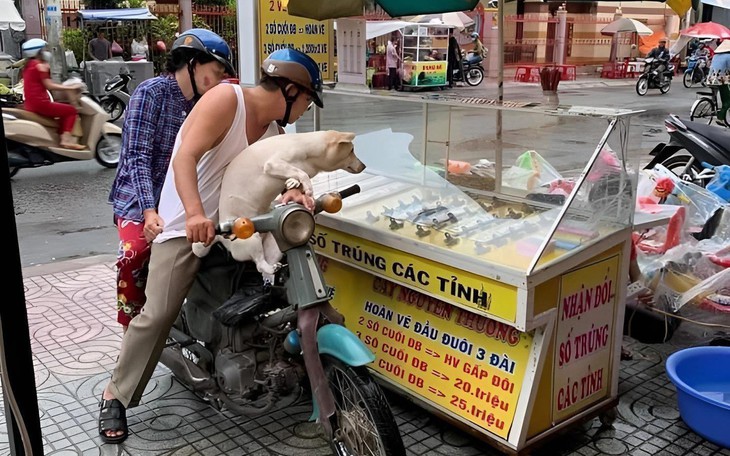 Netizen nói gì về lời khai của Thùy Tiên? - Ảnh 4.