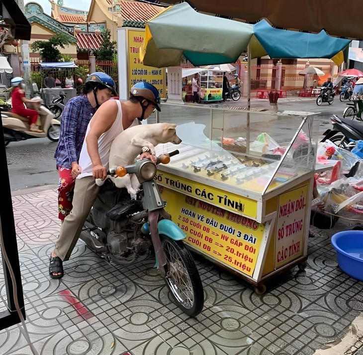 vé số  - Ảnh 1.