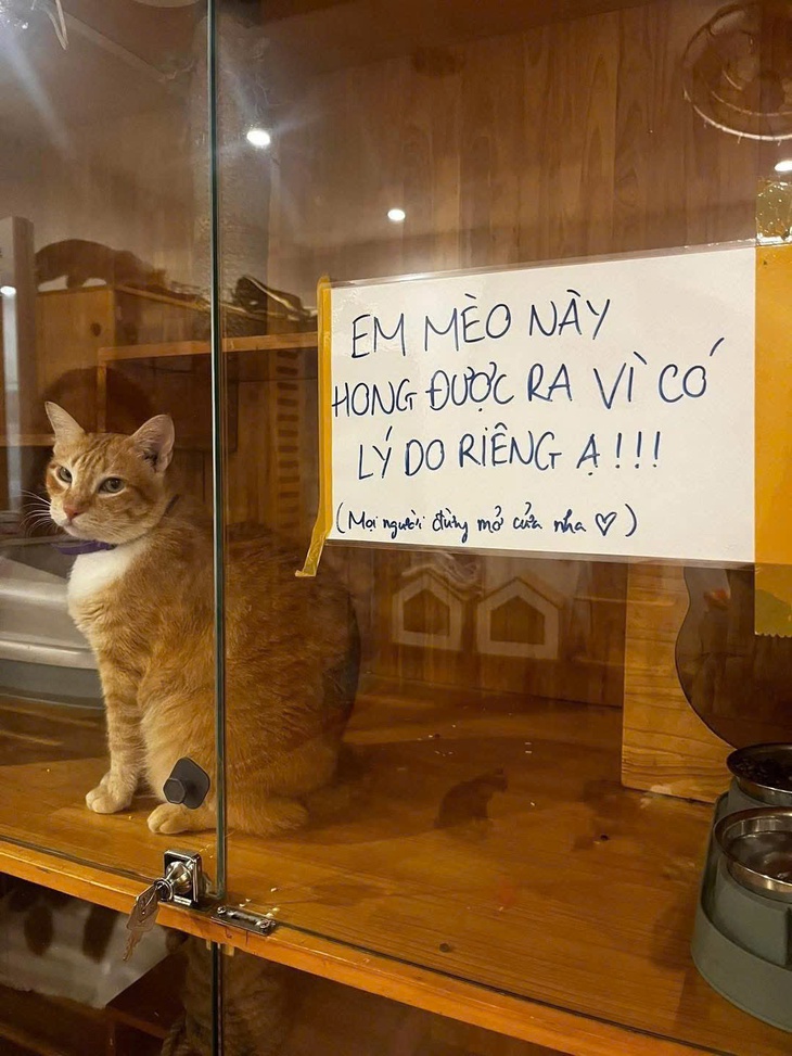 vé số  - Ảnh 4.