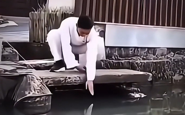 Con ếch xanh ở đâu? - Ảnh 11.