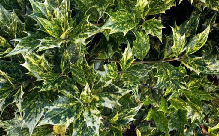 Quiz: Nếp nhăn trán tiết lộ gì về công danh sự nghiệp của bạn - Ảnh 3.