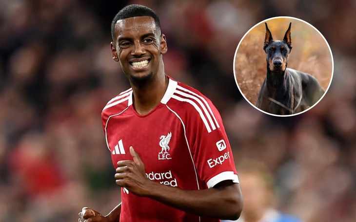 Đề xuất trang bị túi khí cho các tay đua xe đạp - Ảnh 2.