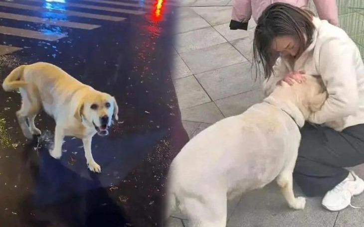 Trúng số cả trăm tỉ, ông chồng giấu vợ sống xa hoa một mình - Ảnh 4.