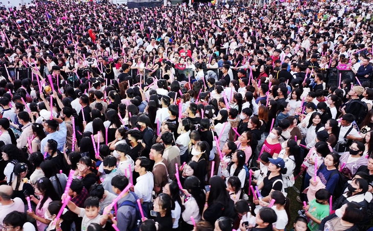 Choáng với cát sê Mailisa chi cho ca sĩ hát ở những concert   - Ảnh 4.