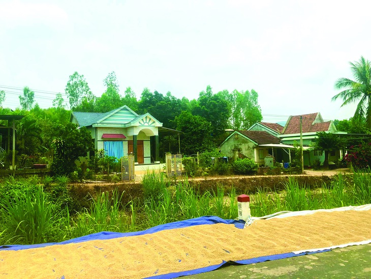 Lũ Phú Yên  - Ảnh 3.