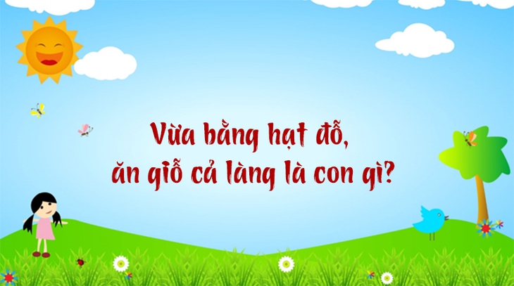 câu đố - Ảnh 5.