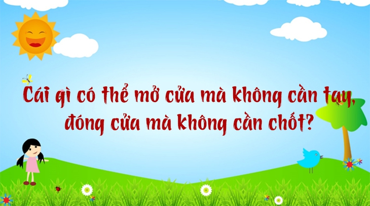 câu đố  - Ảnh 5.