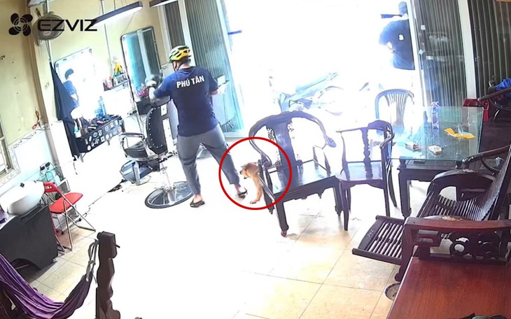 Bạn càng chạy, nó càng khó bắt kịp, đó là gì? - Ảnh 11.