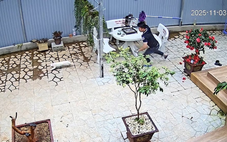 Bạn càng chạy, nó càng khó bắt kịp, đó là gì? - Ảnh 12.