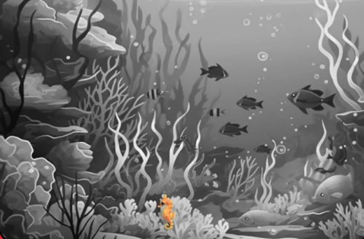 con ếch - Ảnh 5.