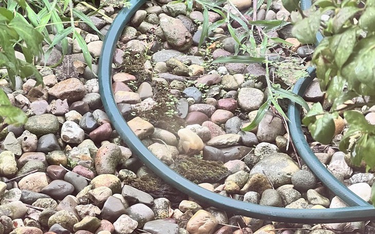 Thử thách trí não với câu đố toán học - Ảnh 8.