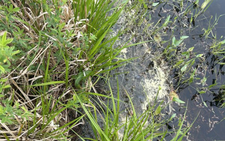 Thử tài IQ: Di chuyển một que diêm để 9+16=2 thành phép tính đúng - Ảnh 11.