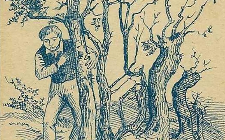 Từ nào trong tiếng Việt đọc ngược, xuôi đều có nghĩa? - Ảnh 7.