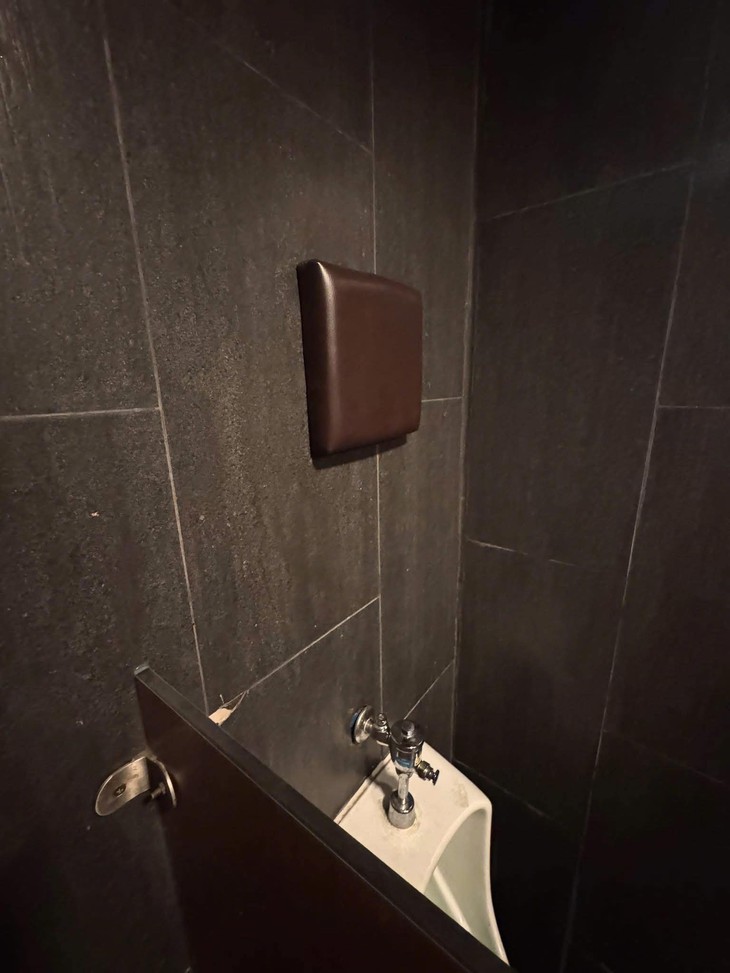 tại sao - Ảnh 1.