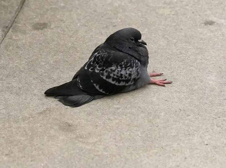 tại sao - Ảnh 3.