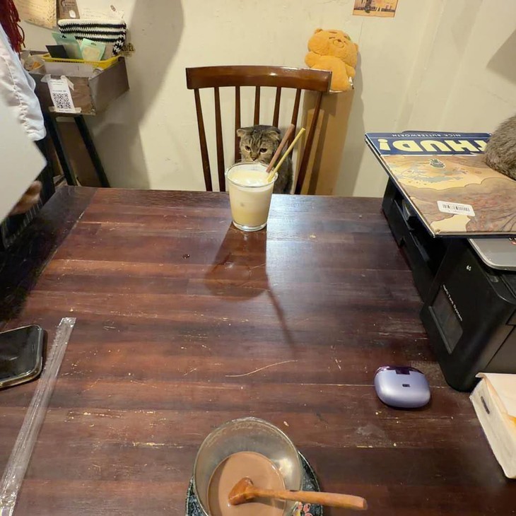 tại sao - Ảnh 4.