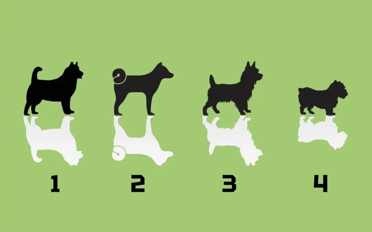 Quiz: Chọn một hình và biết ngay người khác đang nghĩ gì về bạn - Ảnh 3.